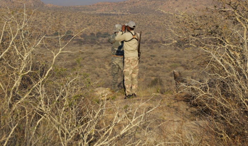 Hunting Namibia | Die keiler