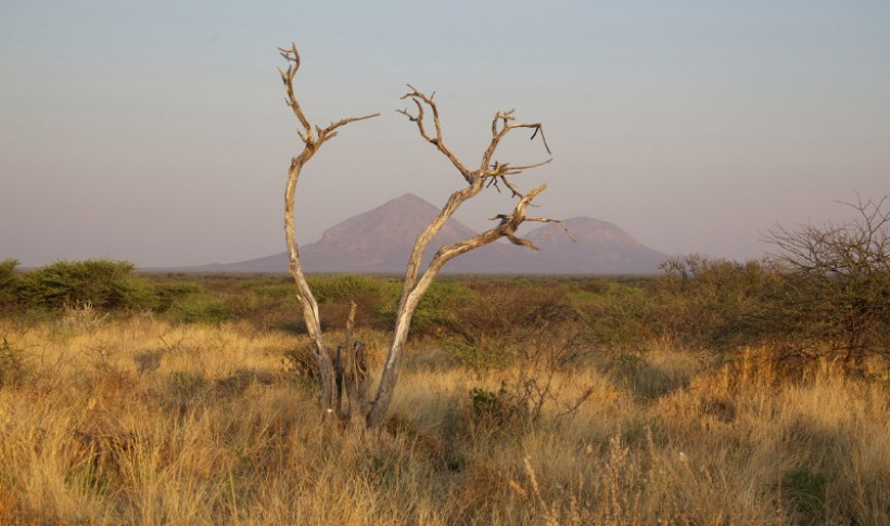 Hunting Namibia | Die keiler