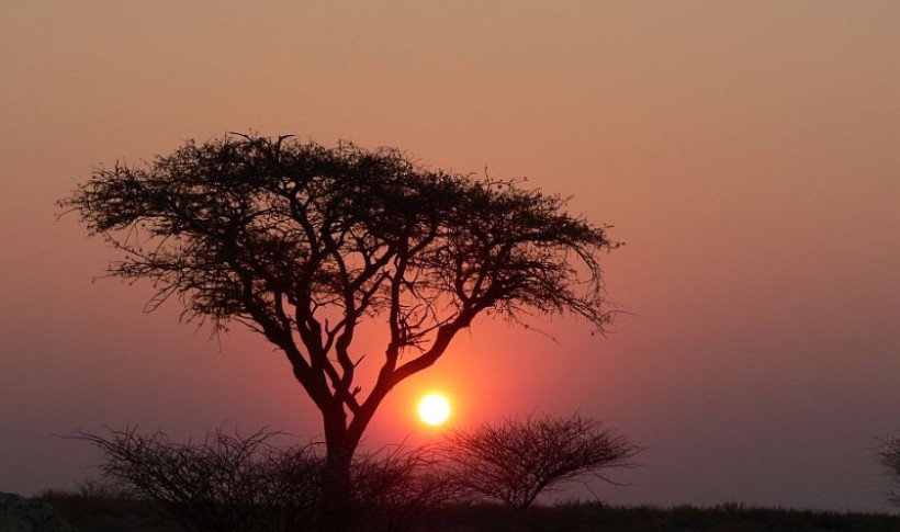 Hunting Namibia | Die keiler