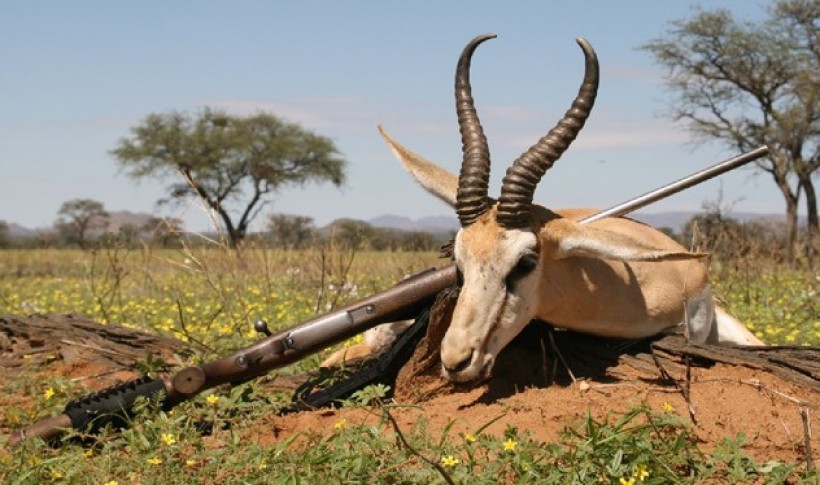 Hunting Namibia | Die keiler