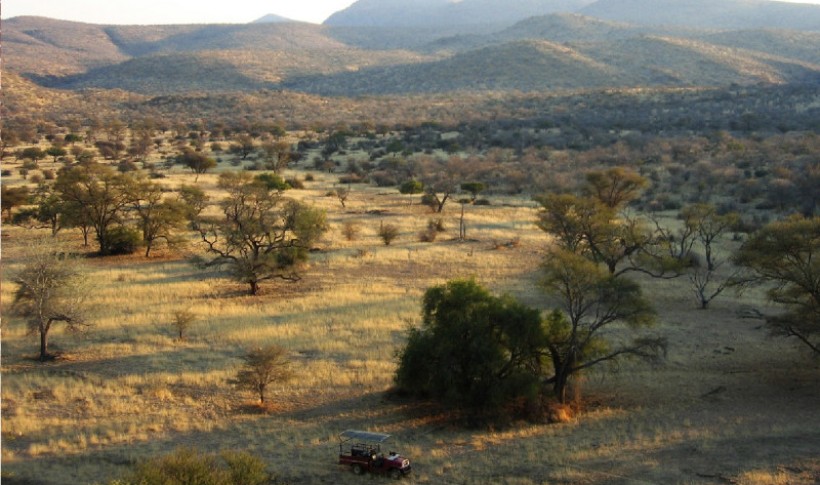 Hunting Namibia | Die keiler