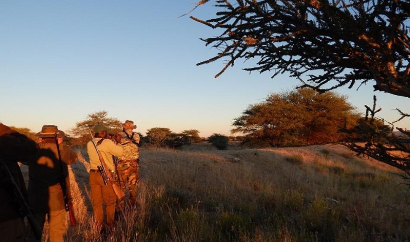 Hunting Namibia | Die keiler