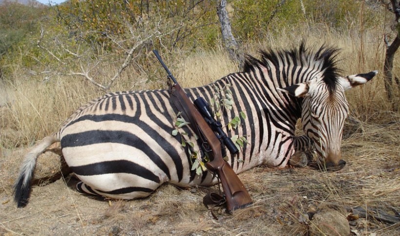 Hunting Namibia | Die keiler